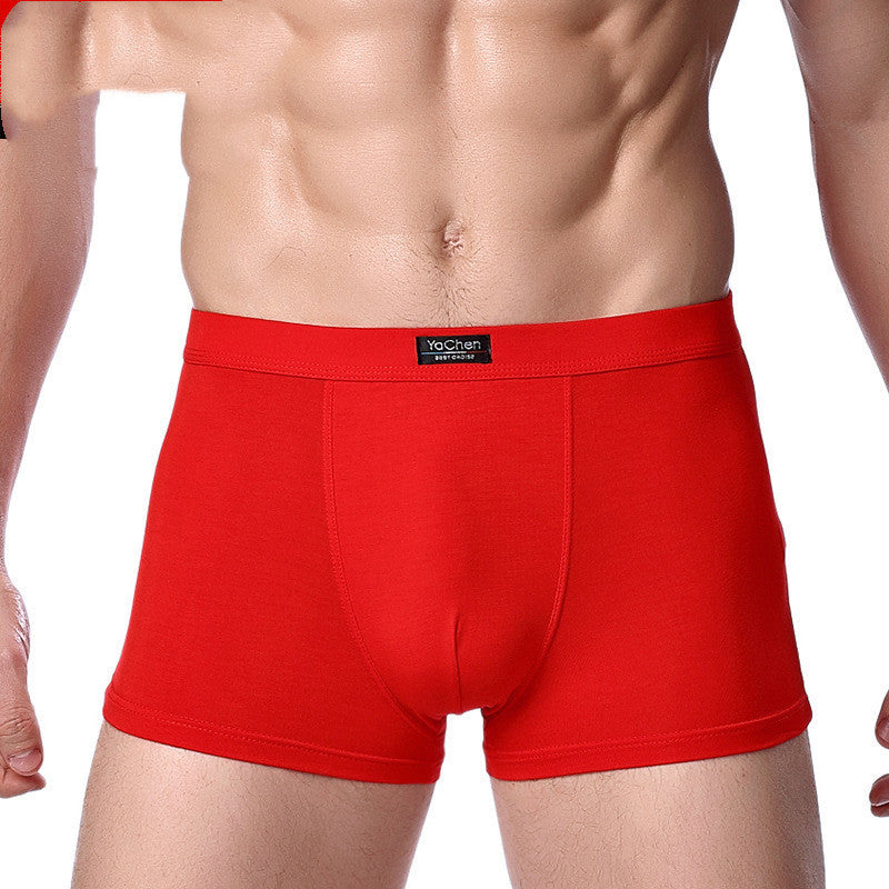 Terrence – Men's Bamboo Fiber Boxers