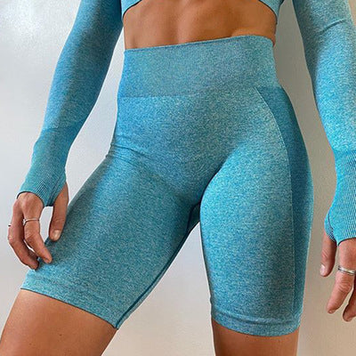 Natalie – Seamless Women's Yoga Set with Long Sleeve Top and Shorts