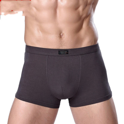 Terrence – Men's Bamboo Fiber Boxers