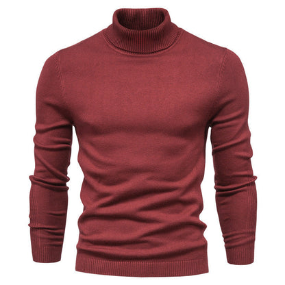 Patrick – Slim Fit Turtleneck Sweater in Solid Design