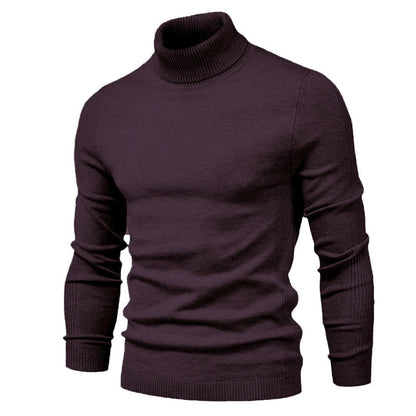 Patrick – Slim Fit Turtleneck Sweater in Solid Design