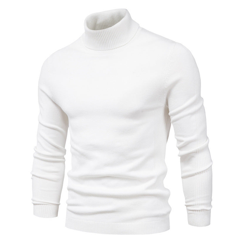 Patrick – Slim Fit Turtleneck Sweater in Solid Design