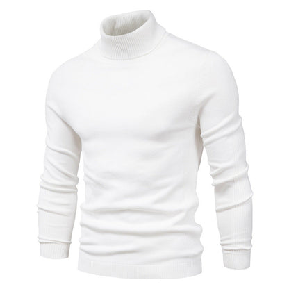 Patrick – Slim Fit Turtleneck Sweater in Solid Design